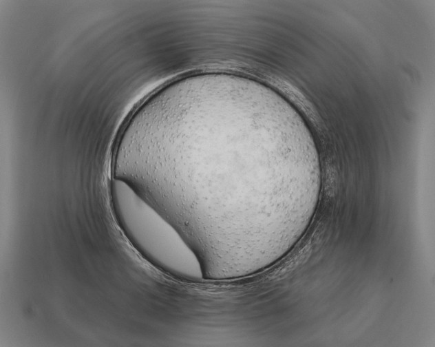 X0000115101036200911101540