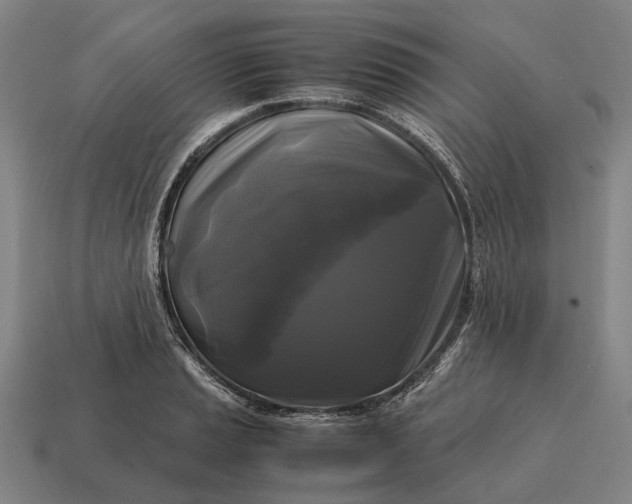 X0000115101037200911101540