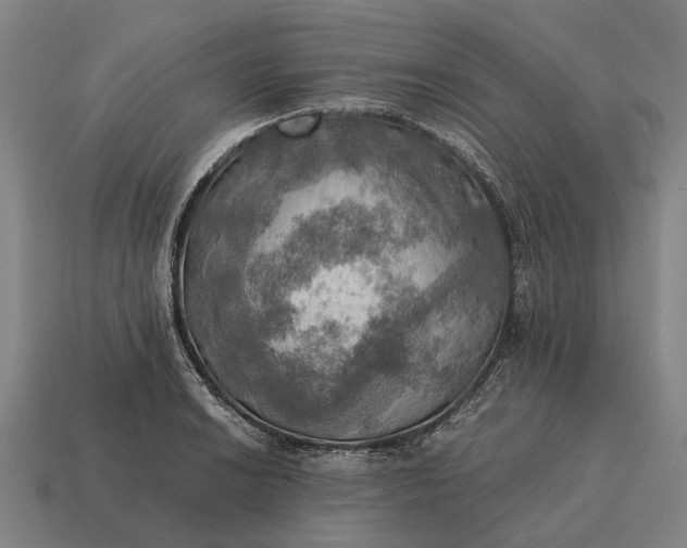 X0000115101038200911101540