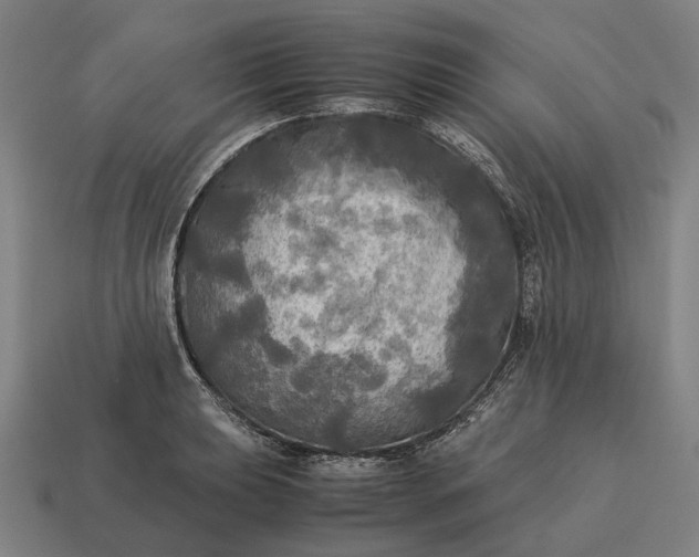 X0000115101039200911101540