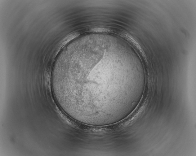 X0000115101041200911101540
