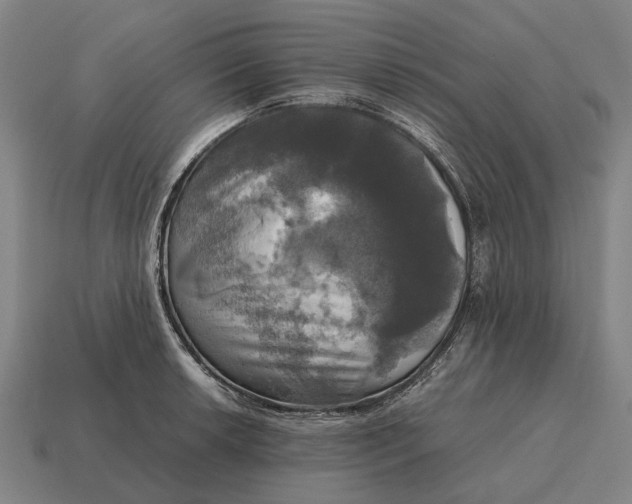 X0000115101042200911101540