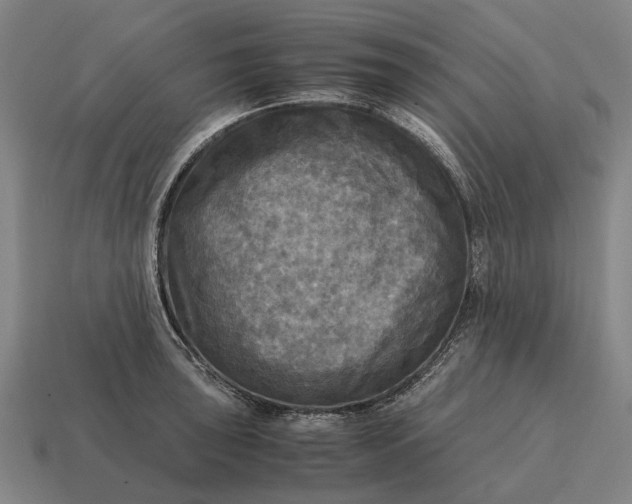X0000115101043200911101540