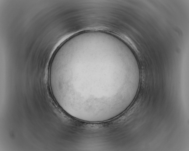 X0000115101044200911101540