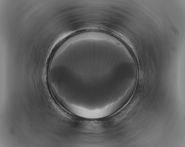 X0000115101045200911101540
