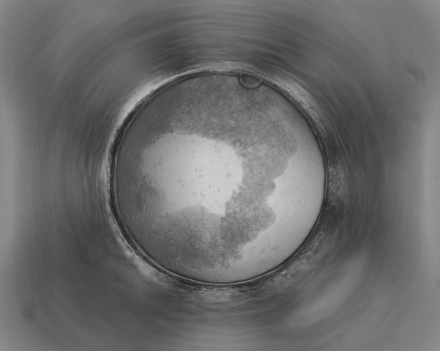 X0000115101046200911101540