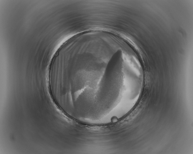 X0000115101048200911101540