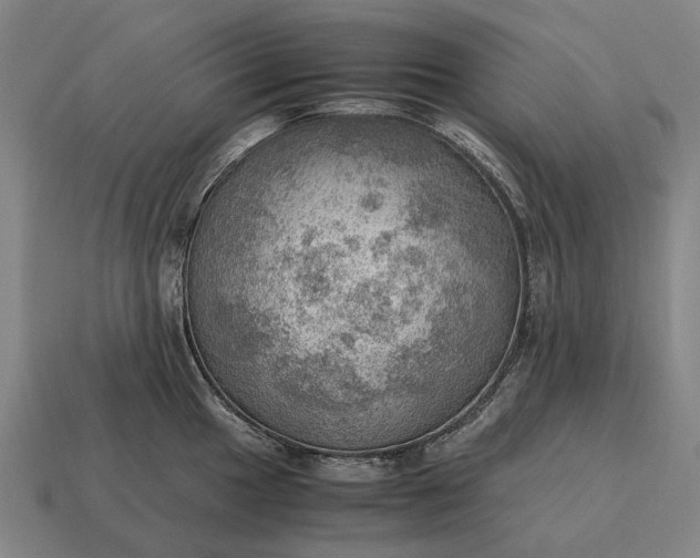 X0000115101049200911101540