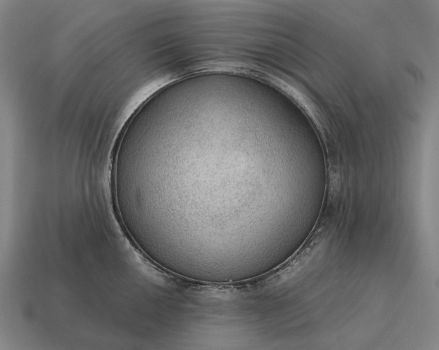X0000115101050200911101540