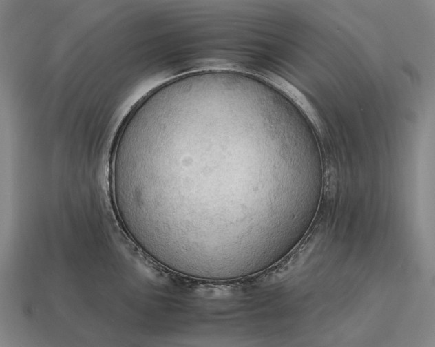 X0000115101051200911101540