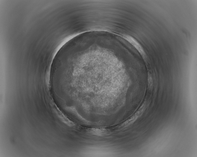 X0000115101052200911101540