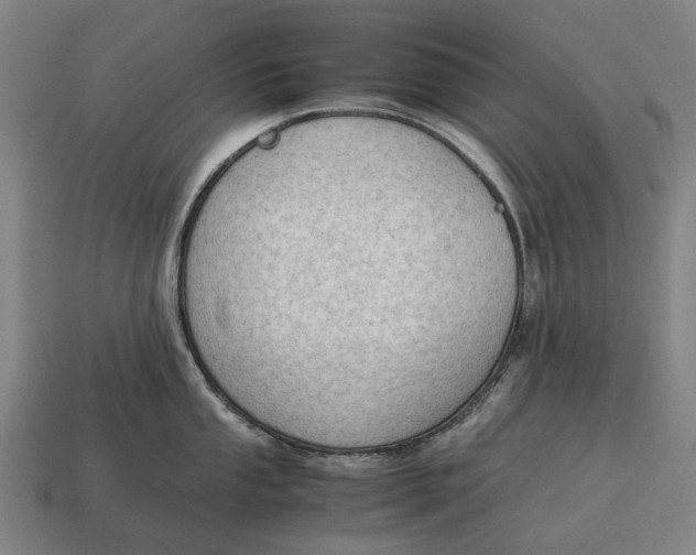 X0000115101053200911101540
