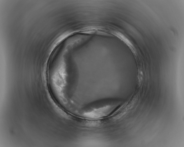 X0000115101055200911101541