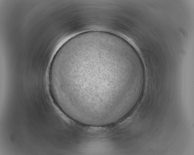 X0000115101056200911101541