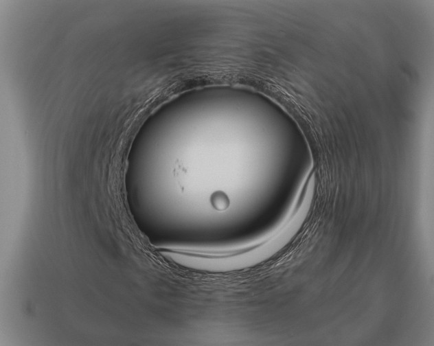 X0000115101057200911101540