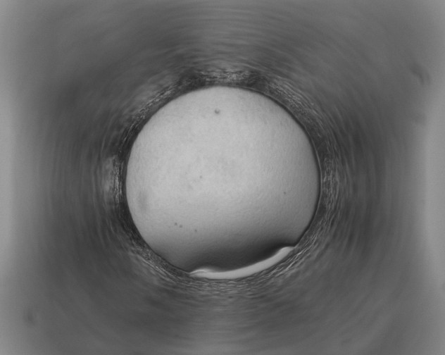 X0000115101058200911101540