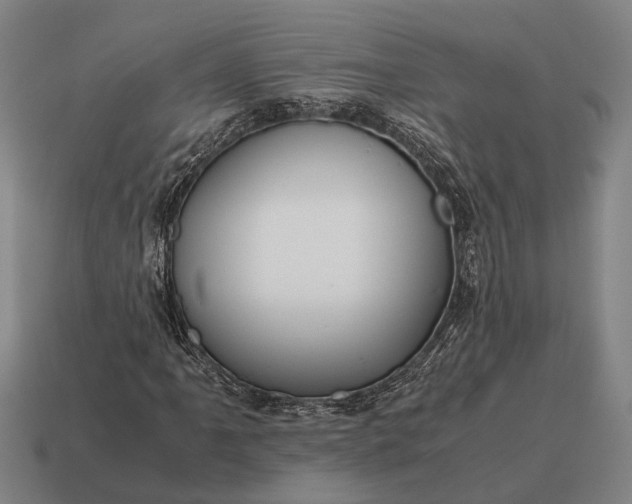 X0000115101061200911101540
