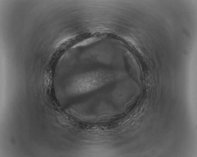 X0000115101063200911101540