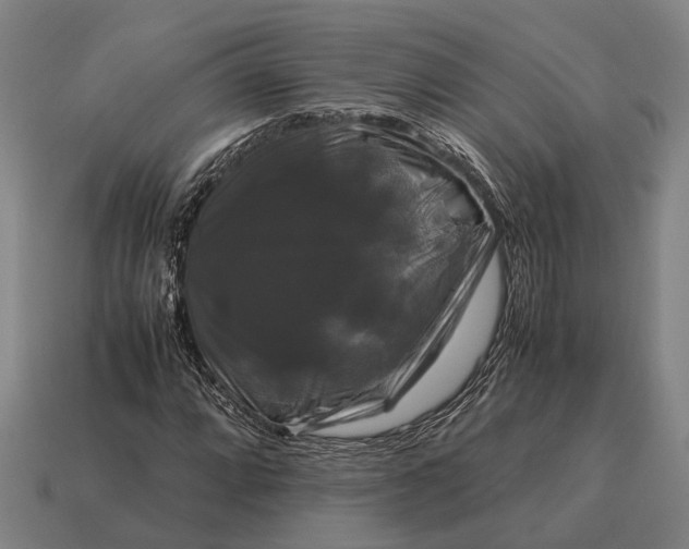 X0000115101064200911101540