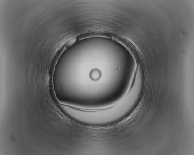 X0000115101065200911101540