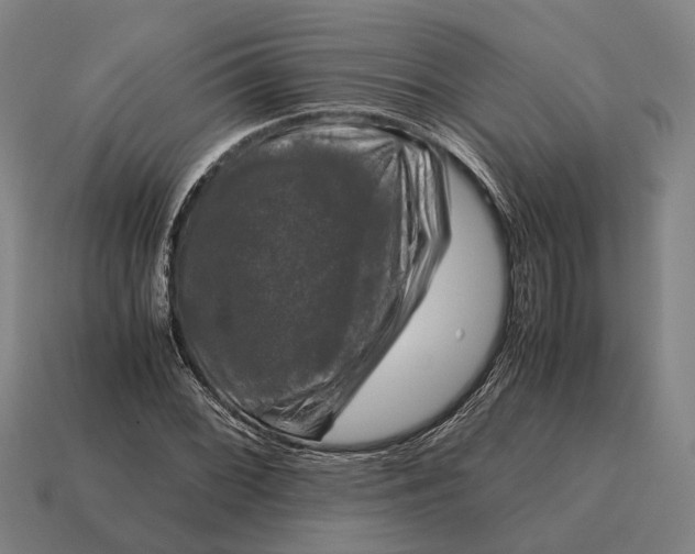 X0000115101068200911101540
