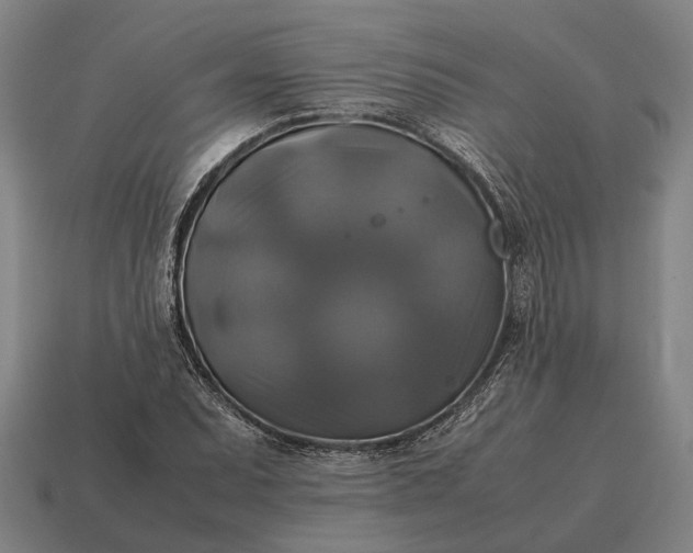 X0000115101071200911101540