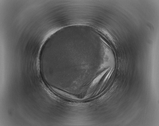 X0000115101072200911101540