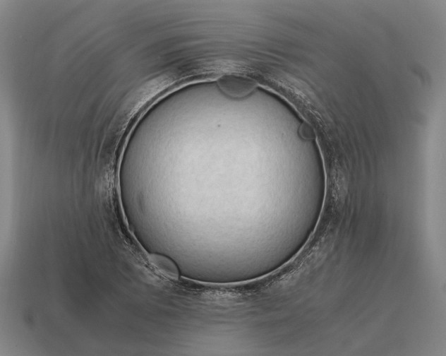 X0000115101073200911101540