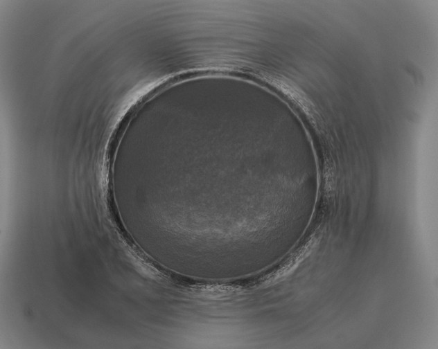 X0000115101077200911101540