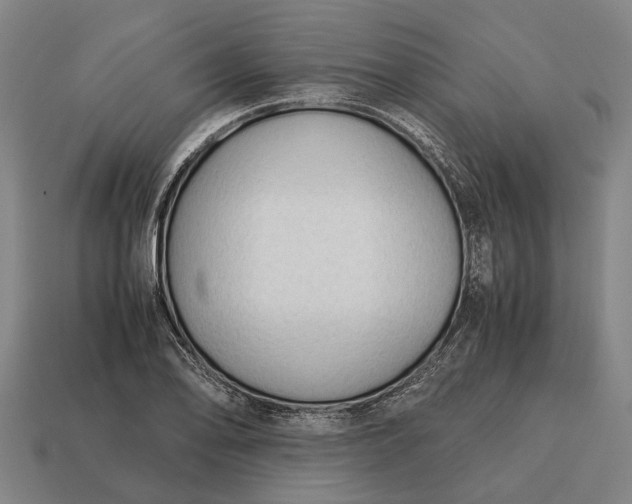 X0000115101078200911101540