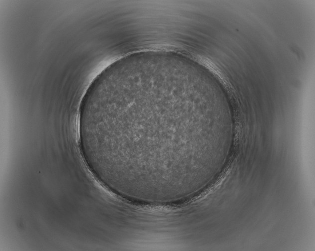 X0000115101079200911101540