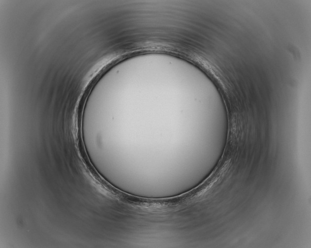 X0000115101082200911101540