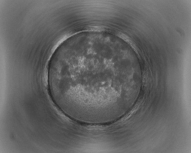 X0000115101083200911101540