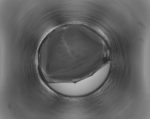 X0000115101084200911101540