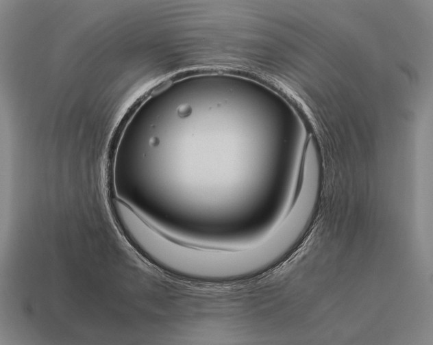 X0000115101085200911101540