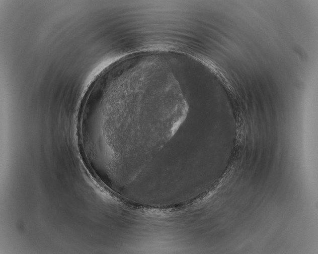 X0000115101086200911101540