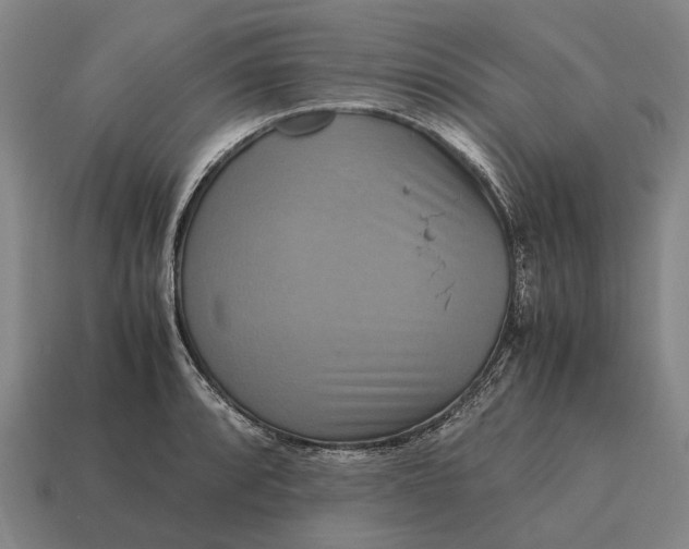 X0000115101088200911101540