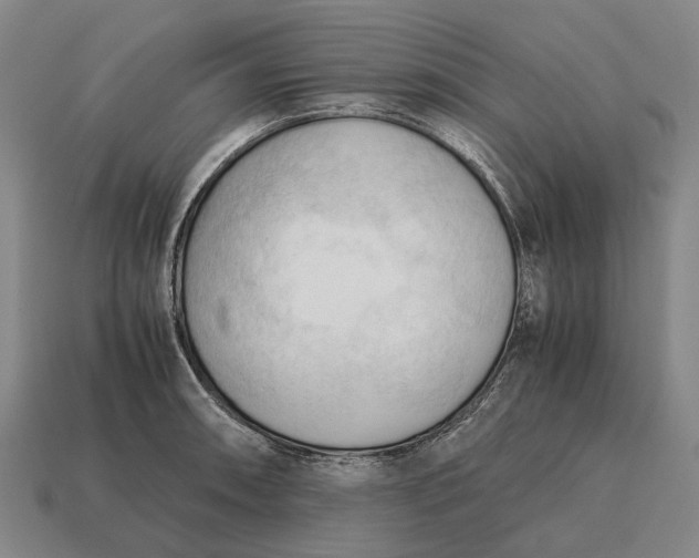 X0000115101090200911101539