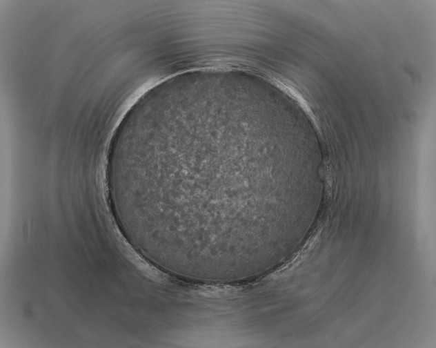 X0000115101091200911101539