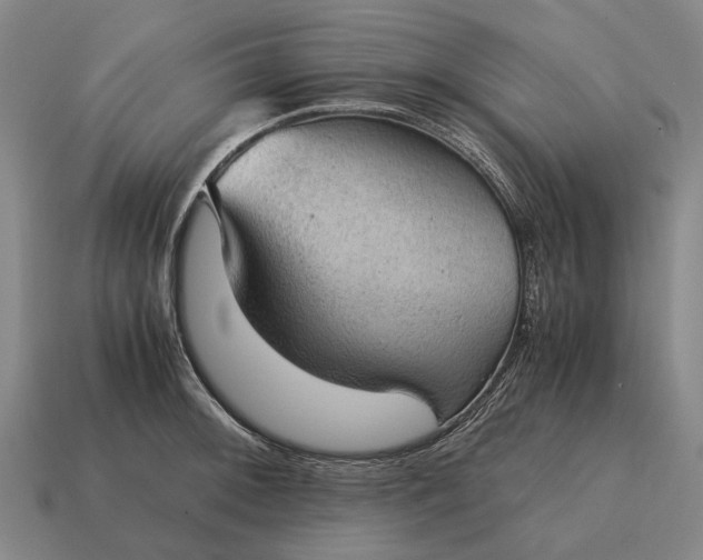 X0000115101092200911101539