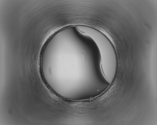 X0000115101093200911101539