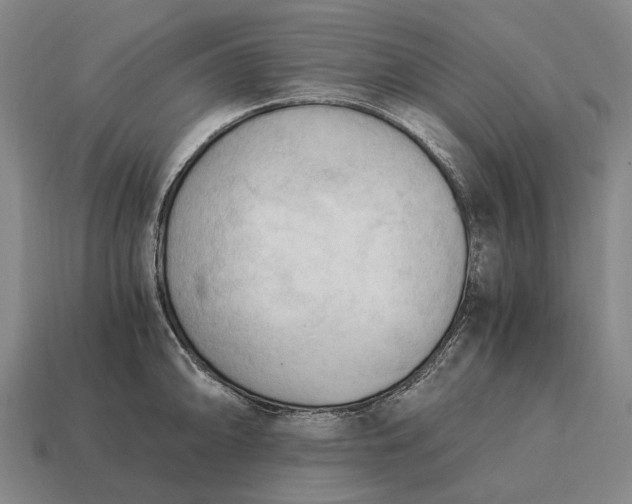 X0000115101094200911101539