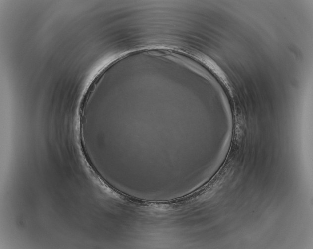 X0000115101096200911101539