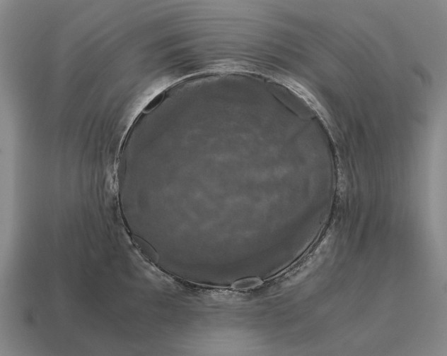 X0000115101097200911101539