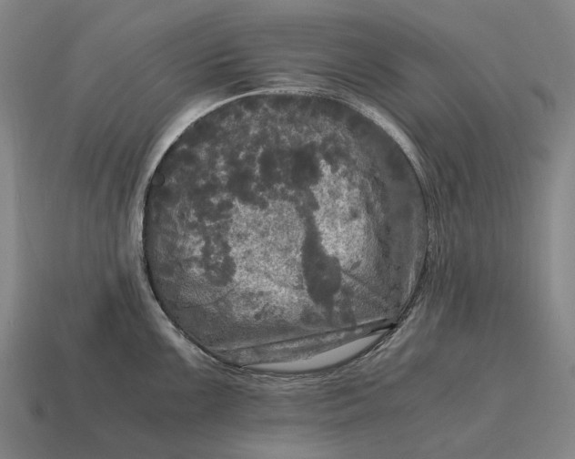 X0000115101099200911101539