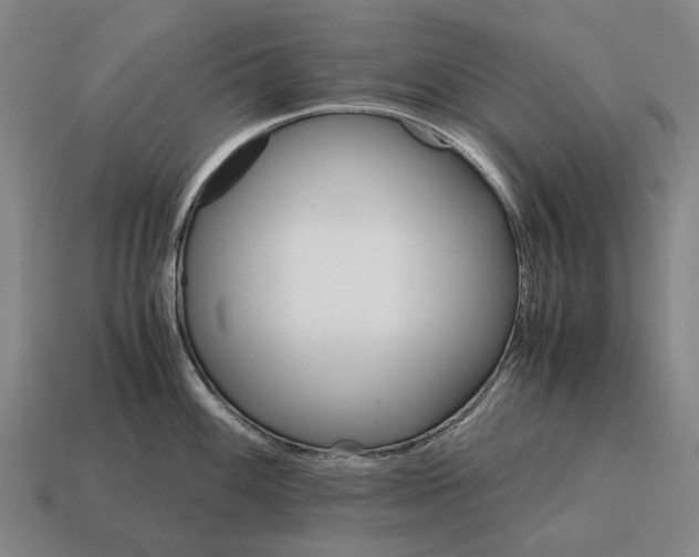 X0000115101100200911101539