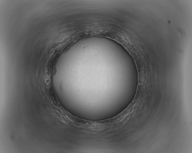 X0000115101109200911101539