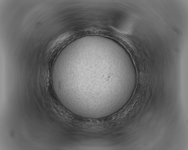 X0000115101111200911101539
