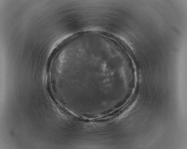 X0000115101117200911101539