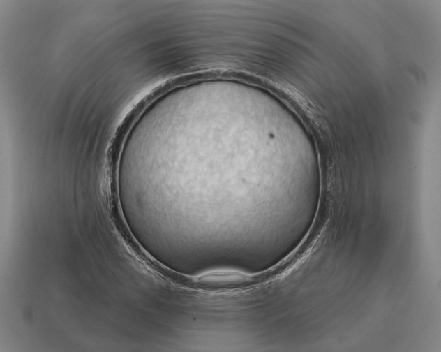 X0000115101118200911101539